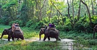 CHITWAN SAURAHA NEPAL